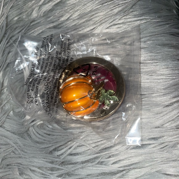 BBW car fragrance pumpkin 🎃 fall autumn vent or visor clip - Picture 4 of 5